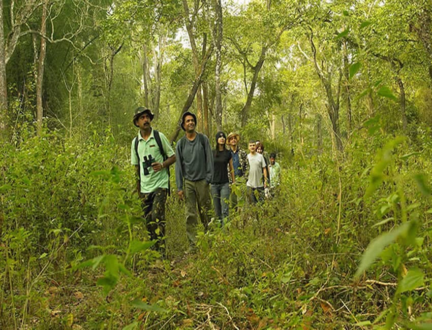NATURE WALK