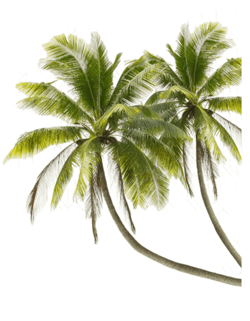 Coconut Tree Decorative