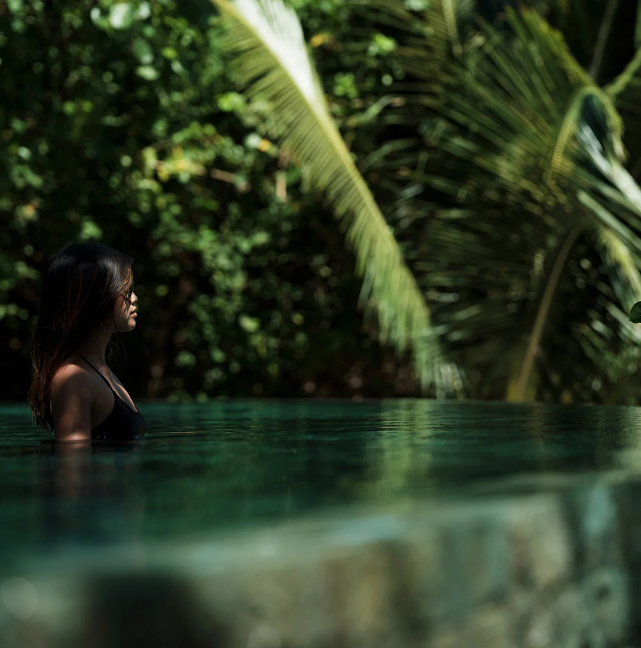 Luxury Stay at The Elephant Court