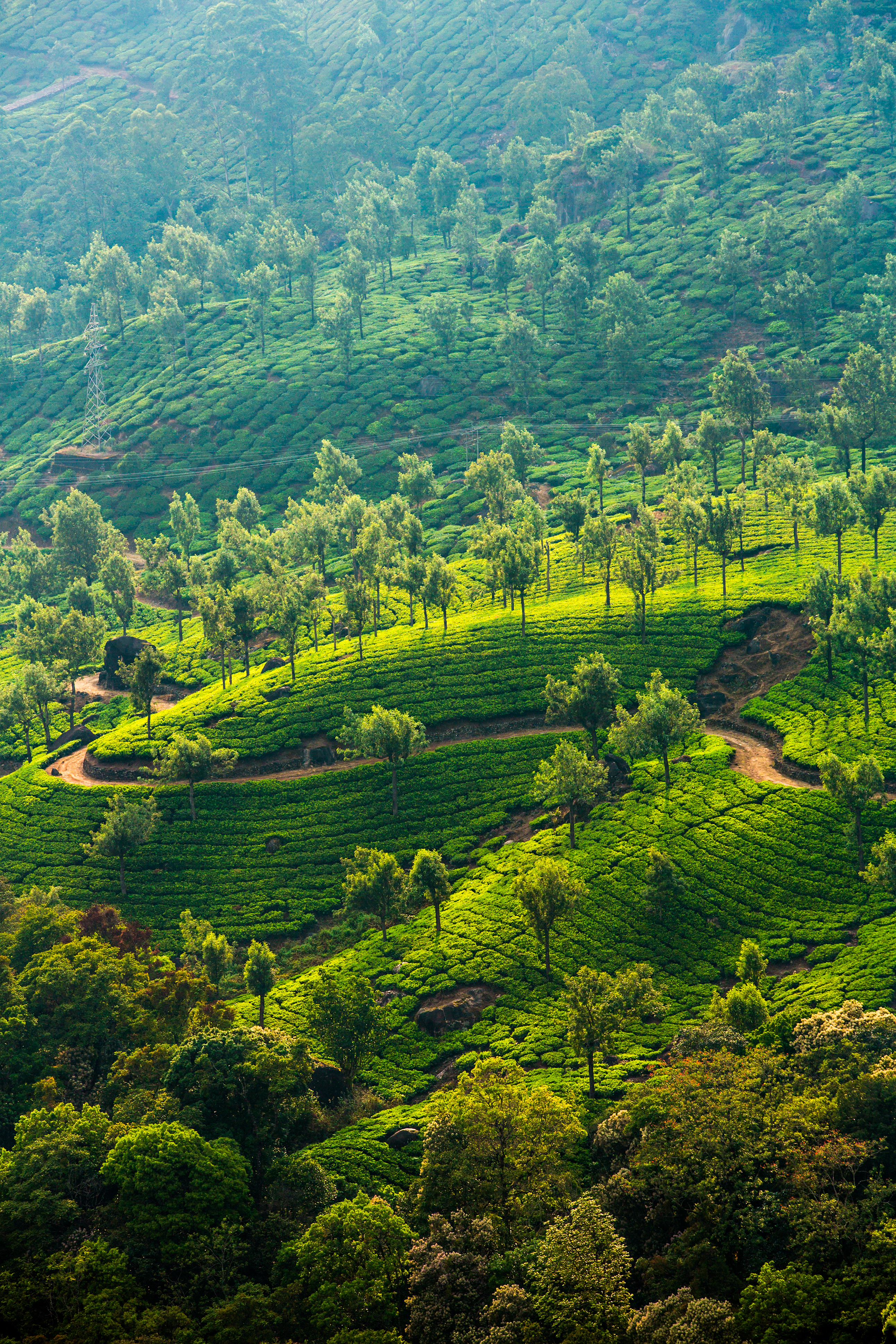 KOTTAYAM (KERALA)